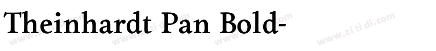 Theinhardt Pan Bold字体转换 Theinhardt Pan Bold字体转换